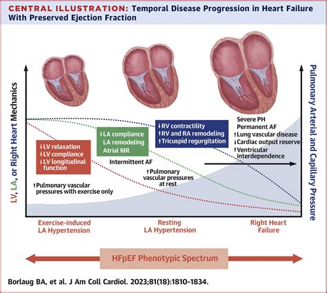 lv chf|what is preserved ejection fraction.